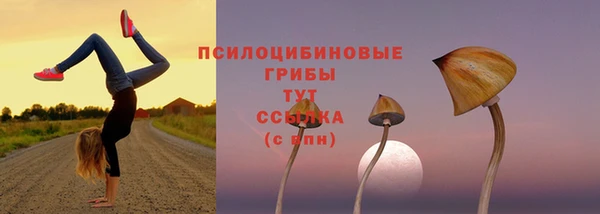 ешки Красноперекопск