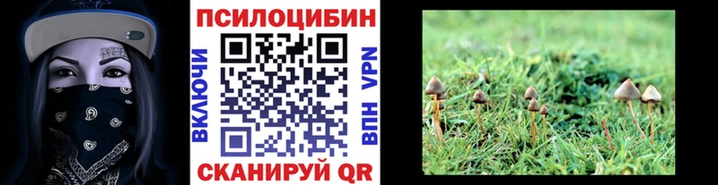 Галлюциногенные грибы GOLDEN TEACHER  как найти закладки  это какой сайт  Могоча  OMG рабочий сайт 